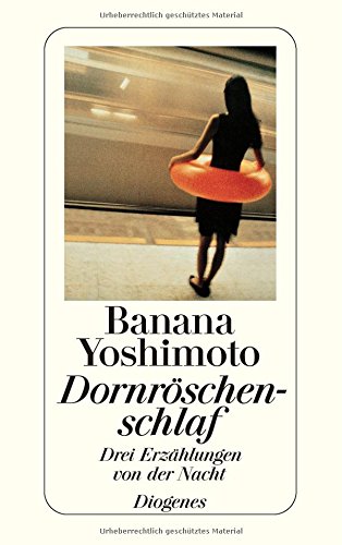 Dornröschenschlaf Contemporary literature