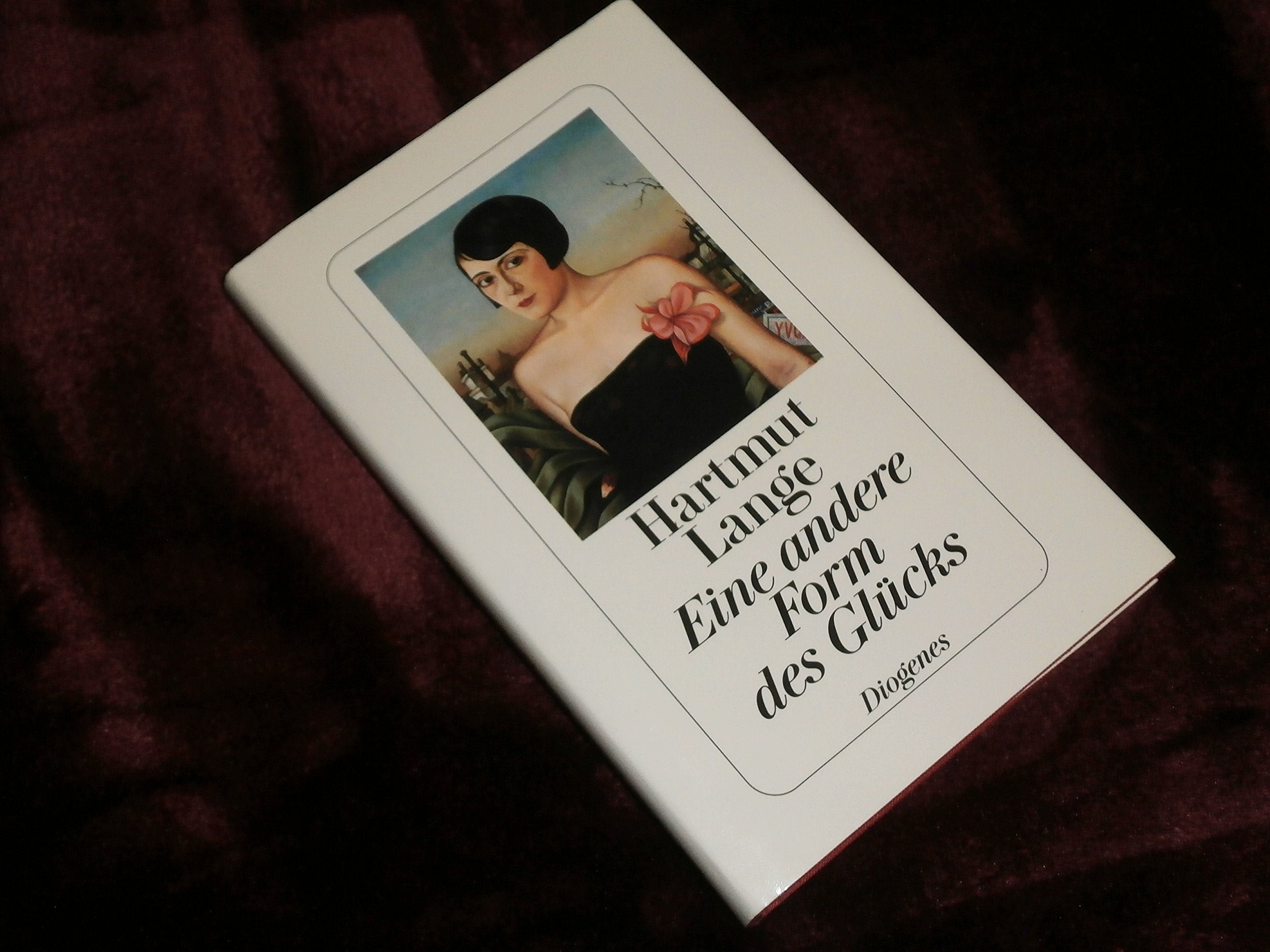 Eine andere Form des Glücks Contemporary literature Books