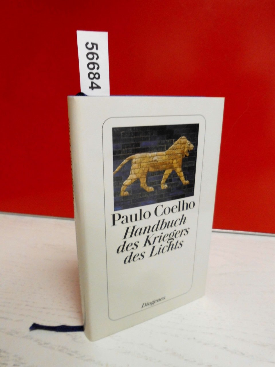 Handbuch des Kriegers des Lichts: Aus d. Brasilian. v. Maralde Meyer-Minnemann Contemporary literature