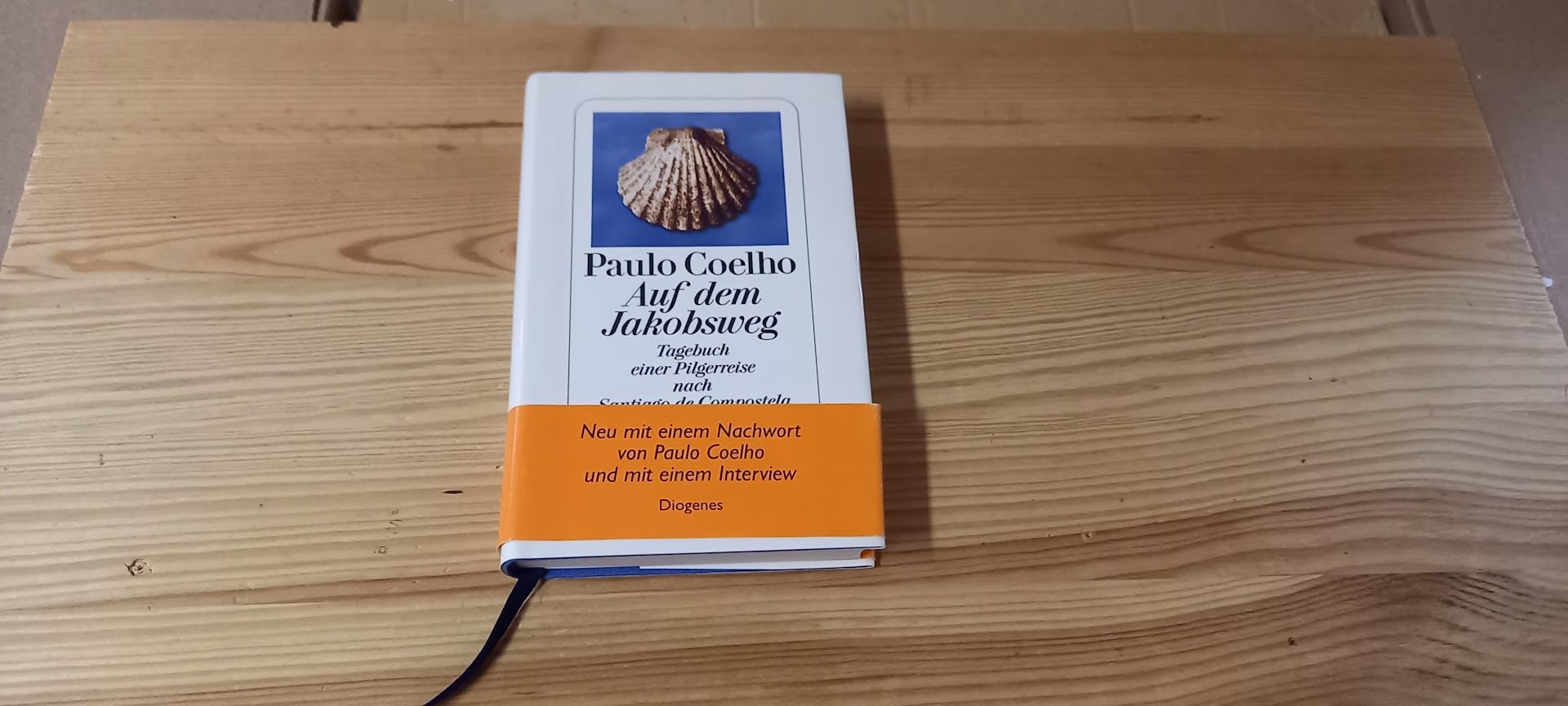 Auf dem Jakobsweg: Tagebuch einer Pilgerreise nach Santiago de Compostela: Tagebuch einer Pilgerreise nach Santiago de Compostela. Mit e. Nachw. v. Paulo Coelho u. e. Interview Politics & Society