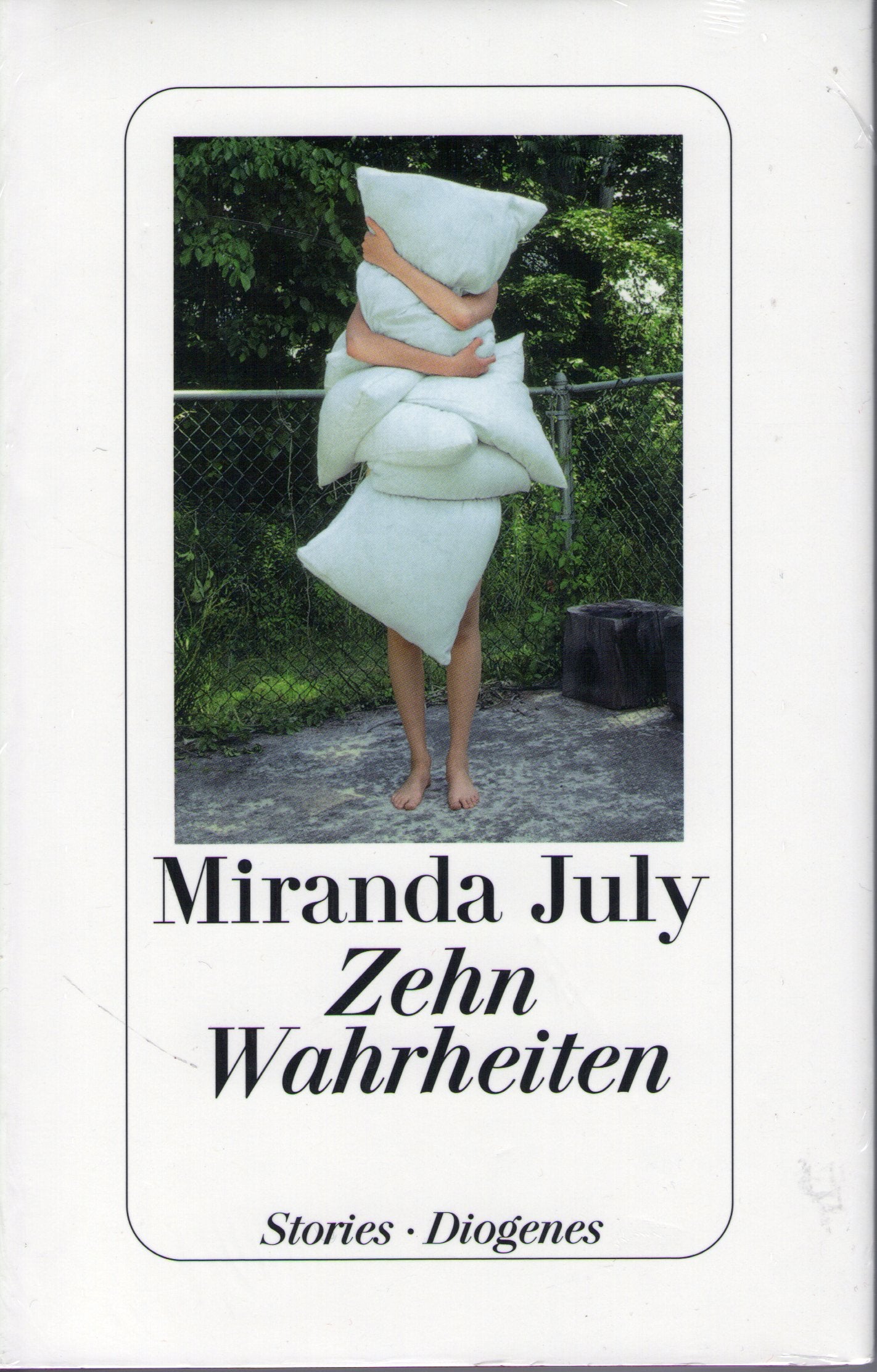 Zehn Wahrheiten: Stories Contemporary literature