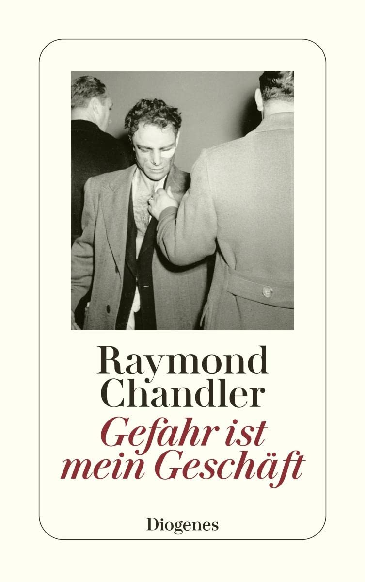 Gefahr ist mein Geschäft: und andere Detektivstories (detebe) Contemporary literature