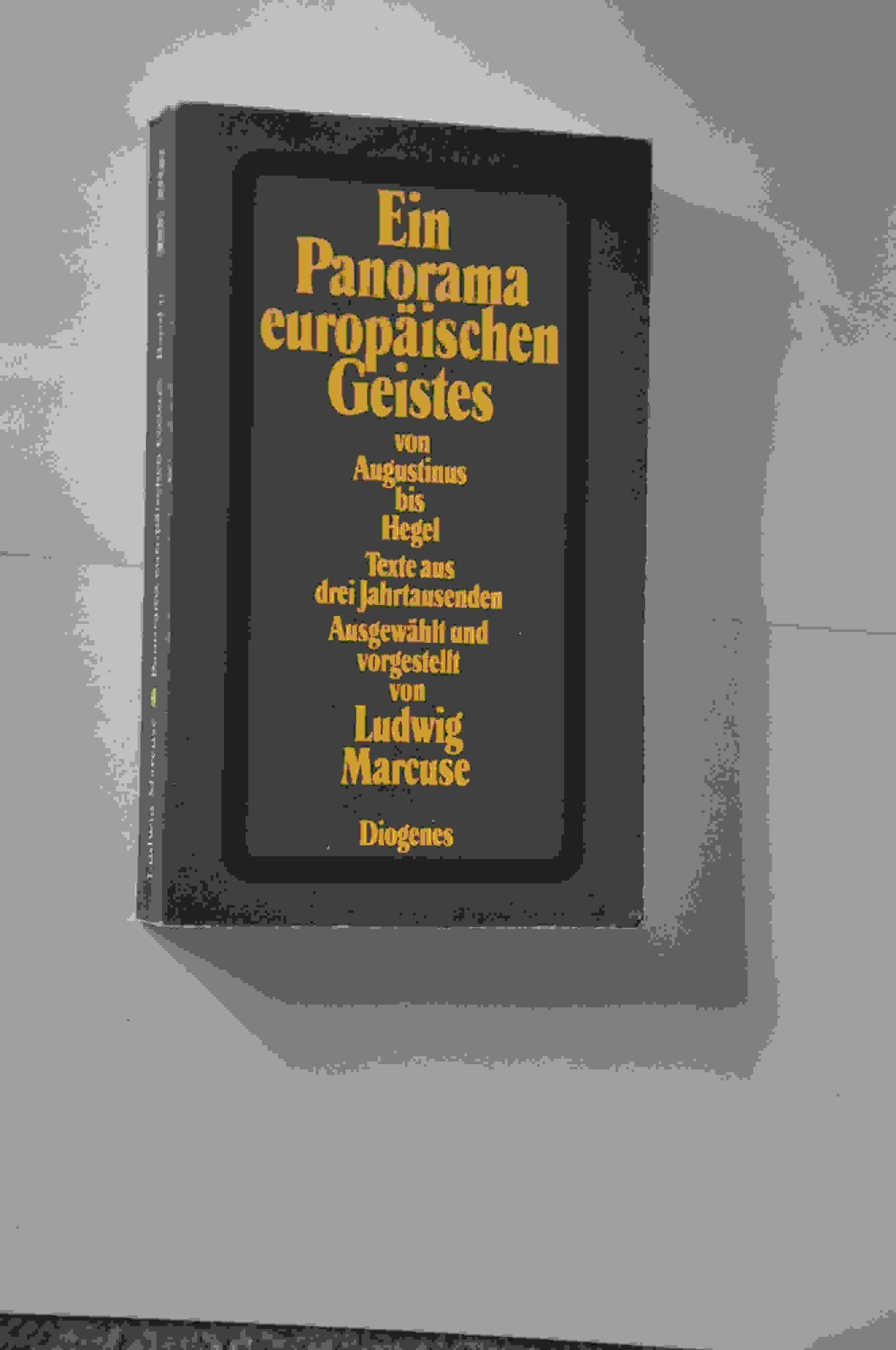 Ein Panorama europäischen Geistes Science Books
