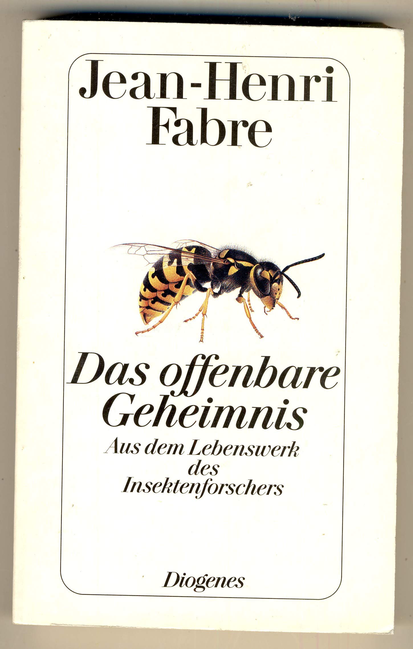 Product Image: Das offenbare Geheimnis