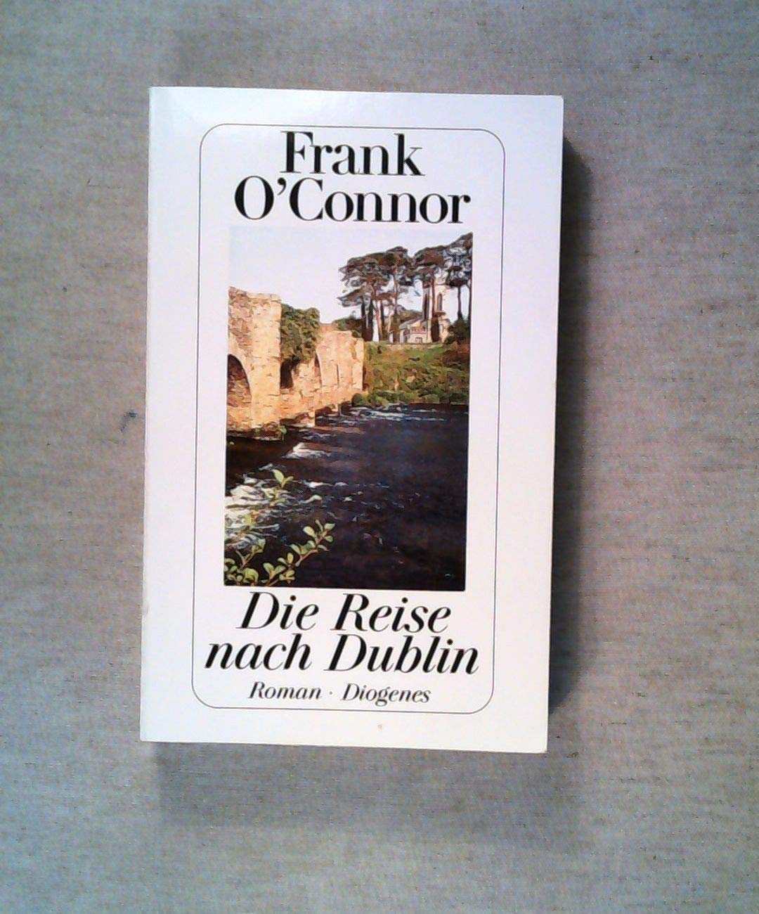 Die Reise nach Dublin: Roman Classics