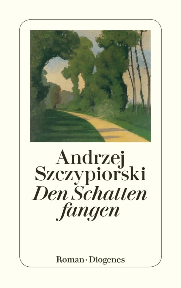 Den Schatten fangen: Roman (detebe) Contemporary literature