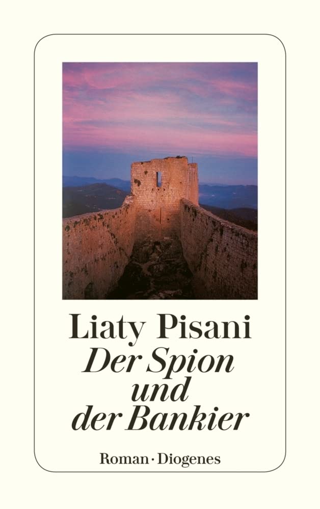 Der Spion und der Bankier: Roman (detebe) Contemporary literature