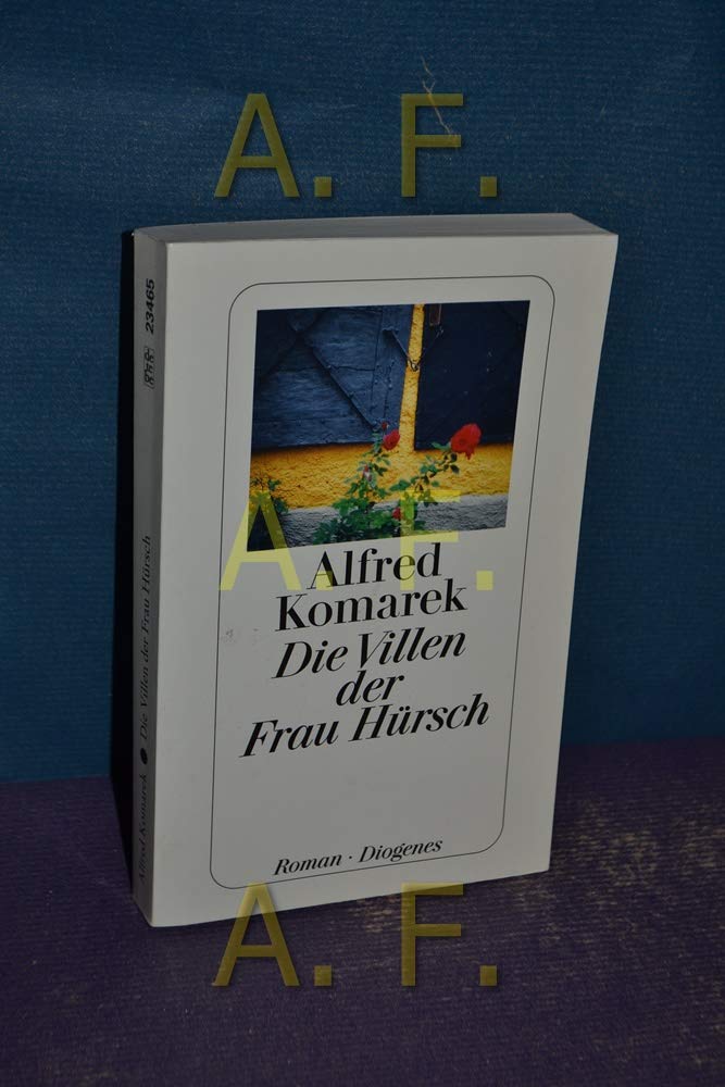 Die Villen der Frau Hürsch: Roman Contemporary literature