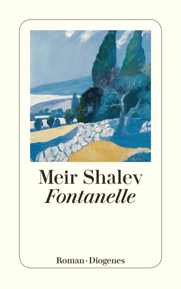 Fontanelle: Roman (detebe) Contemporary literature