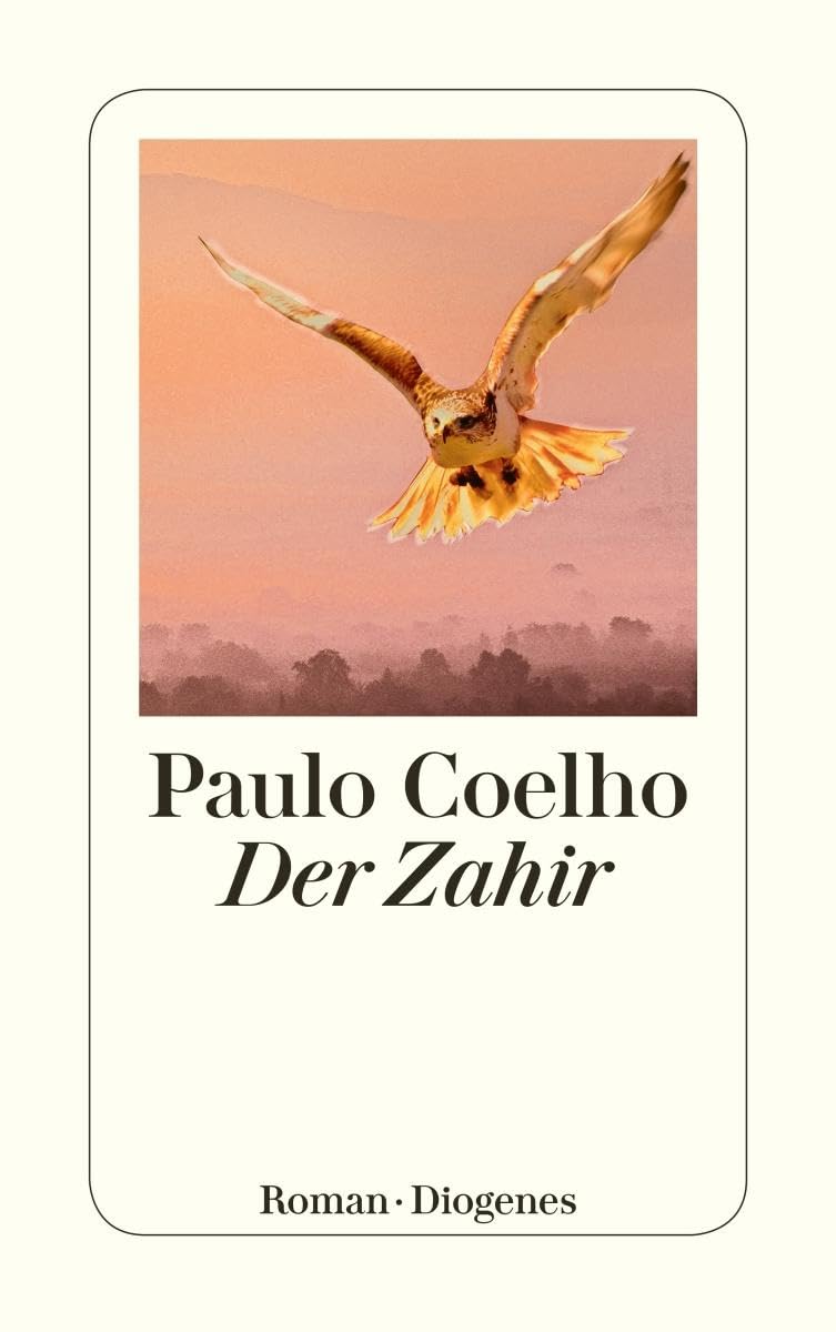 Der Zahir Contemporary literature Books