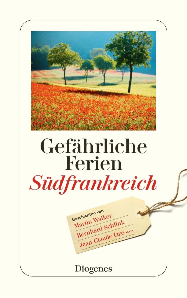 Gefährliche Ferien - Südfrankreich Contemporary literature