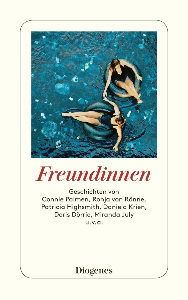 Freundinnen Contemporary literature Books