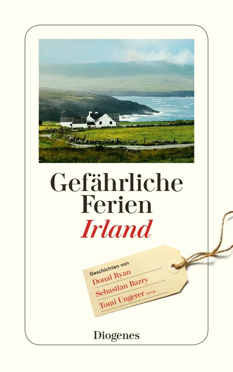 Gefährliche Ferien - Irland Contemporary literature