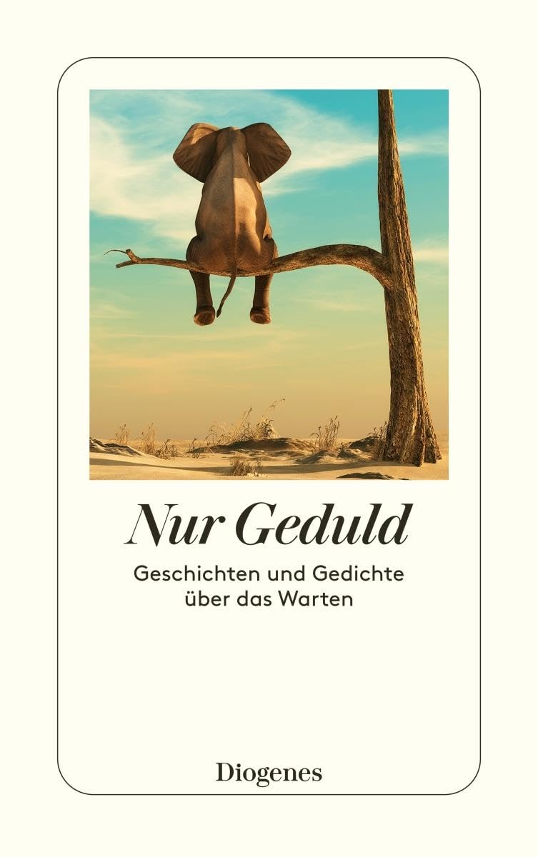 Nur Geduld: Geschichten und Gedichte über das Warten (detebe) Contemporary literature