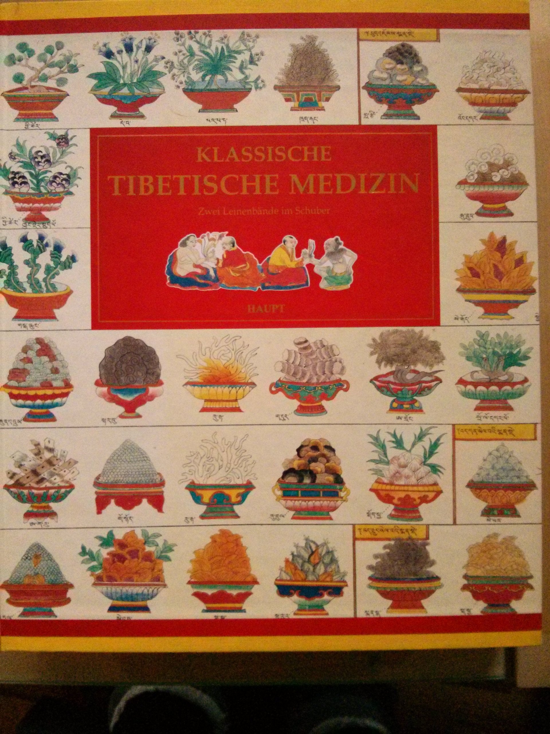 Klassische Tibetische Medizin: Illustrationen der Abhandlung "Blauer Beryll" von Sangye Gyamtso (1653-1705) Medicine