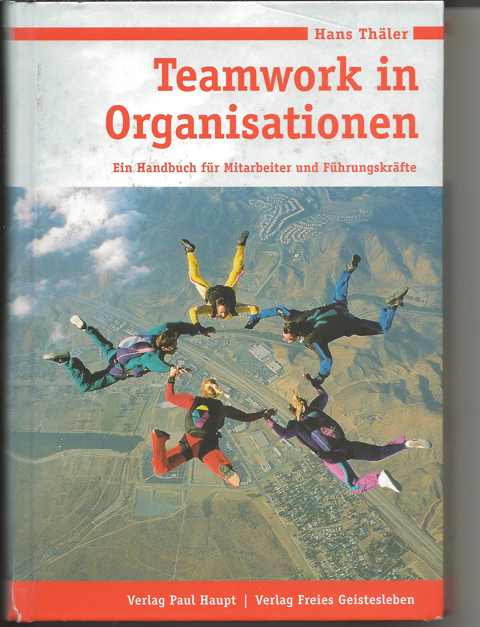 Teamwork in Organisationen. Ein Handbuch für Mitarbeiter und Führungskräfte Business, Finance & Career