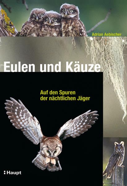 Eulen und Käuze: Auf den Spuren der nächtlichen Jäger Pets