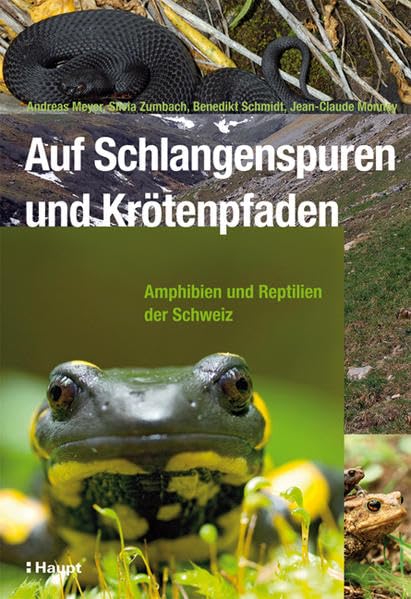 Auf Schlangenspuren und Krötenpfaden: Amphibien und Reptilien der Schweiz Business & Technology