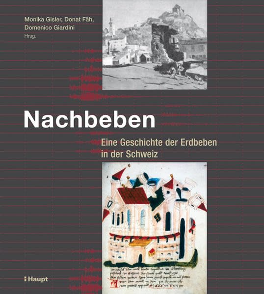 Nachbeben: Eine Geschichte der Erdbeben in der Schweiz Leisure, Home & Garden