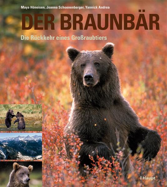Product Image: Der Braunbär