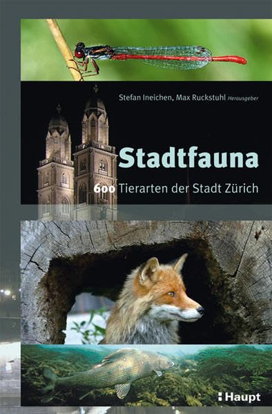 Stadtfauna: 600 Tierarten der Stadt Zürich Leisure, Home & Garden