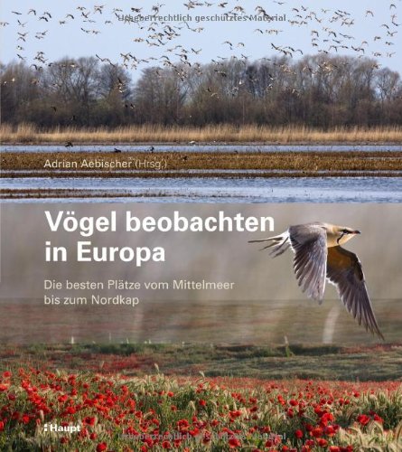 Vögel beobachten in Europa: Die besten Plätze vom Mittelmeer bis zum Nordkap Natural Sciences