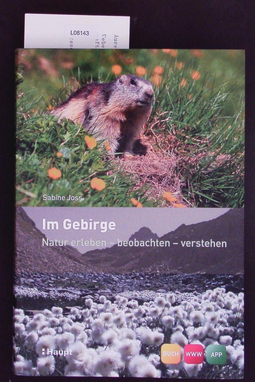 Product Image: Im Gebirge