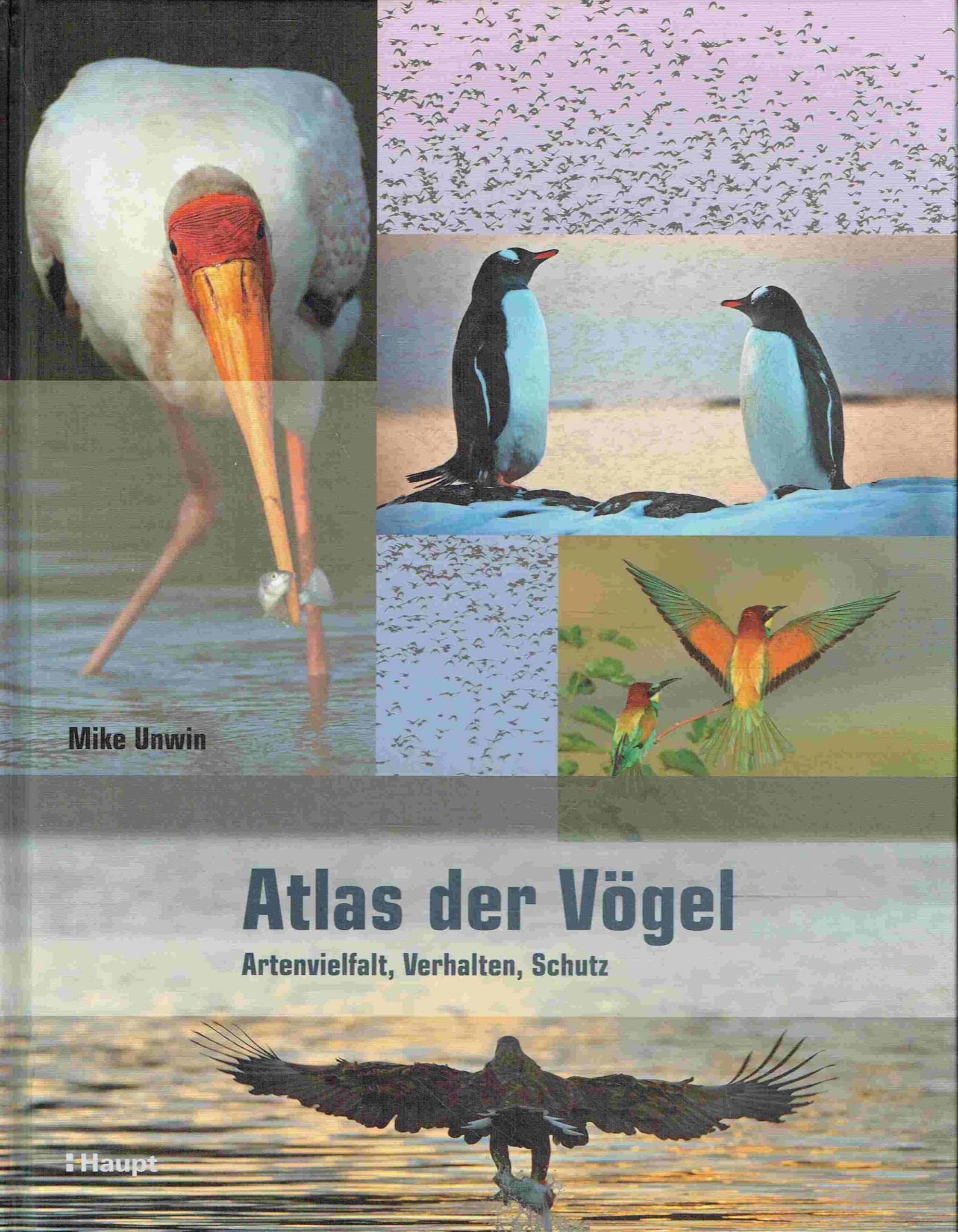 Atlas der Vögel: Artenvielfalt, Verhalten, Schutz Natural Sciences