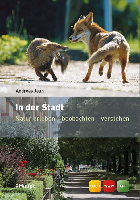 Product Image: In der Stadt