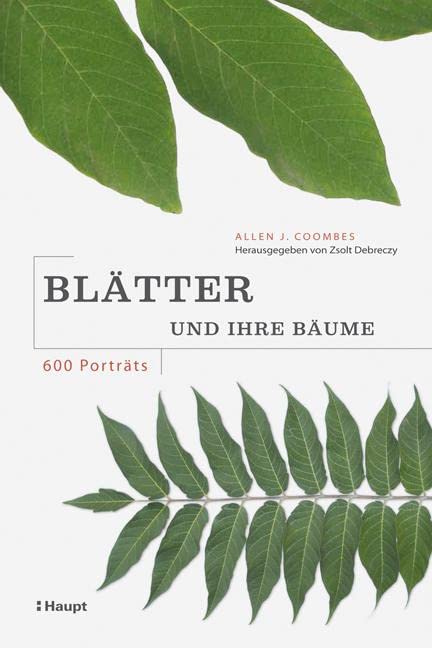 Blätter und ihre Bäume Leisure, Home & Garden