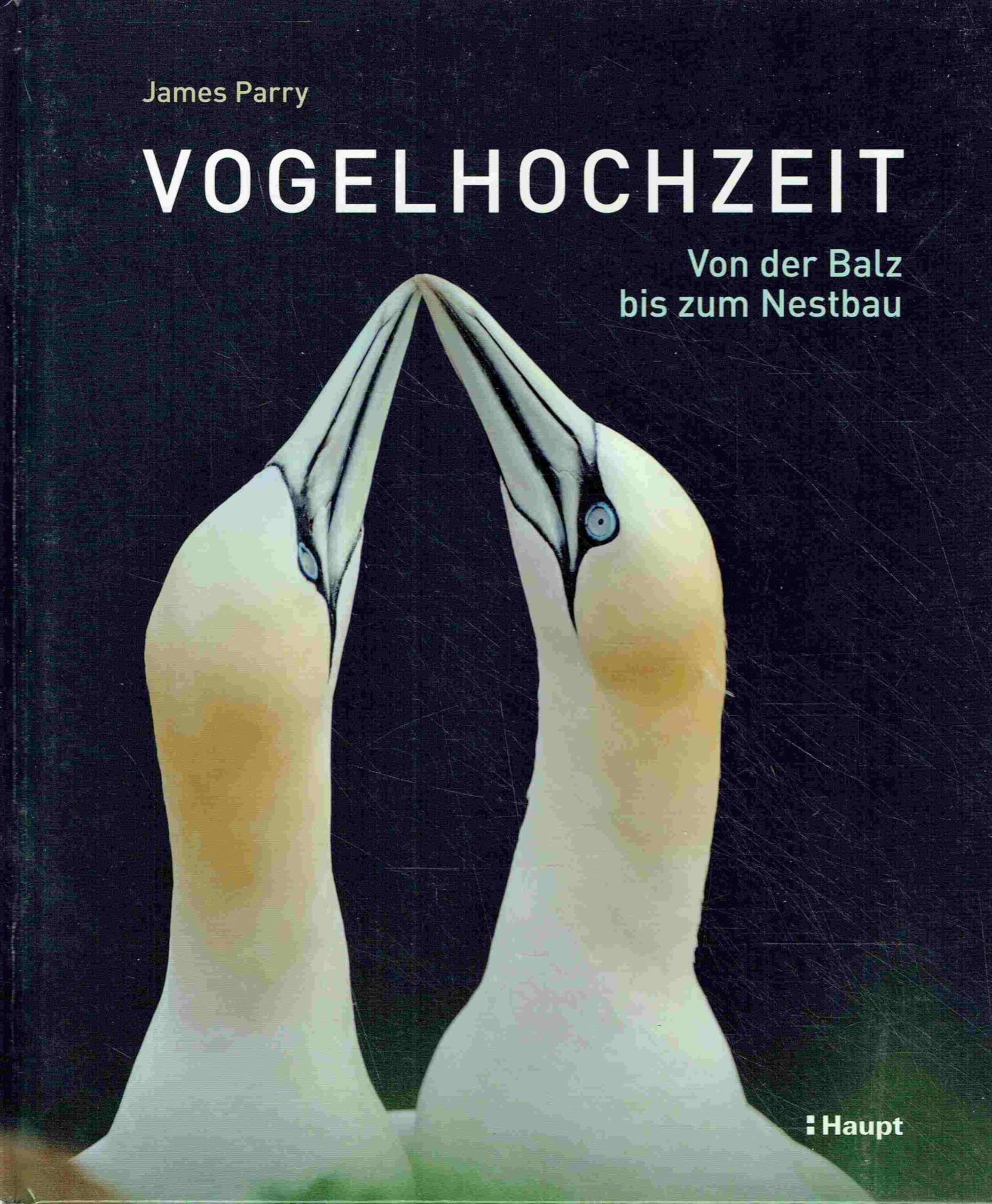 Vogelhochzeit: Von der Balz bis zum Nestbau Natural Sciences