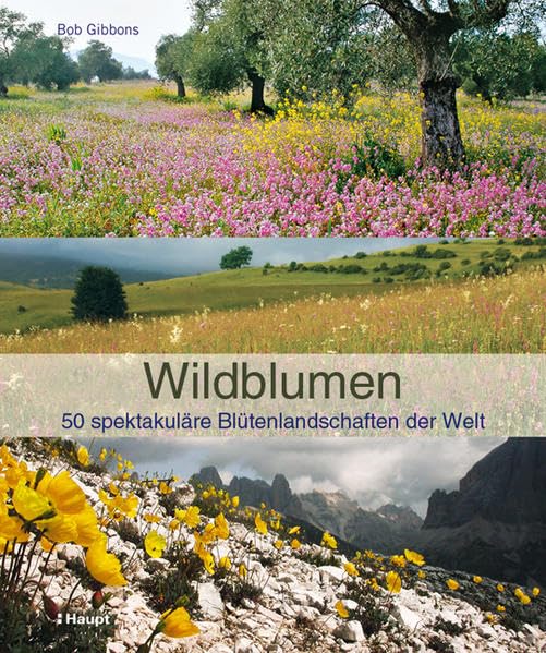 Wildblumen: 50 spektakuläre Blütenlandschaften der Welt Leisure, Home & Garden