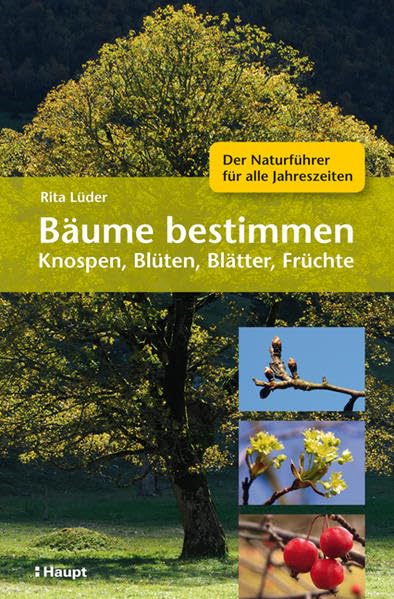 Bäume bestimmen - Knospen, Blüten, Blätter, Früchte: Der Naturführer für alle Jahreszeiten Leisure, Home & Garden