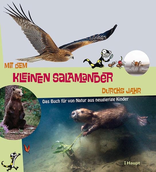 Mit dem kleinen Salamander durchs Jahr: Das Buch für von Natur aus neugierige Kinder Non-fiction