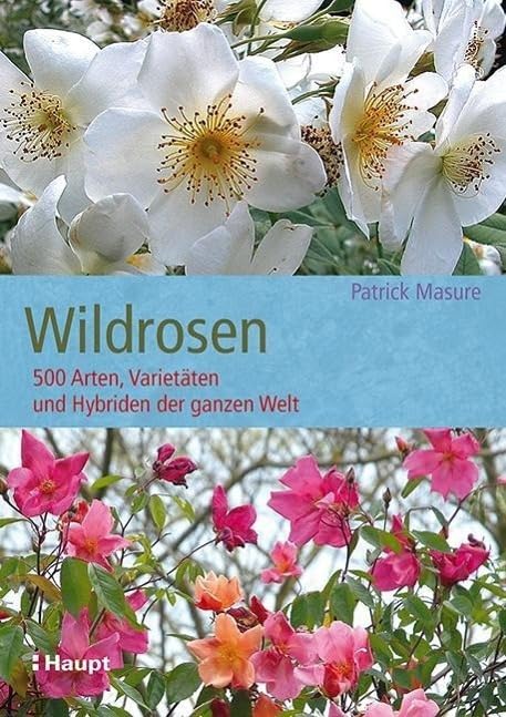 Wildrosen Garden & Plants