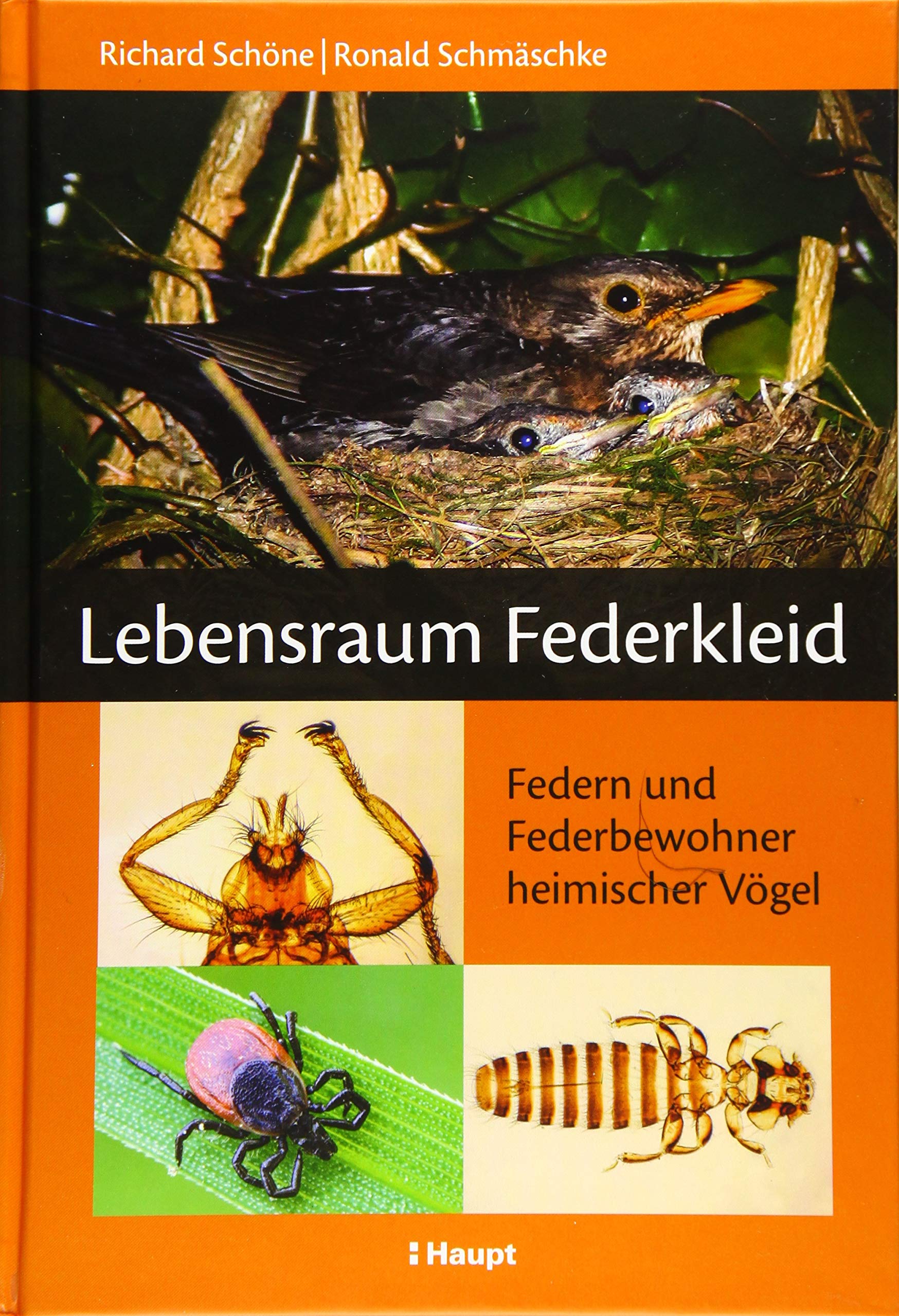 Lebensraum Federkleid Natural Sciences