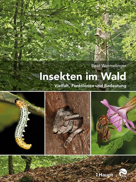 Product Image: Insekten im Wald