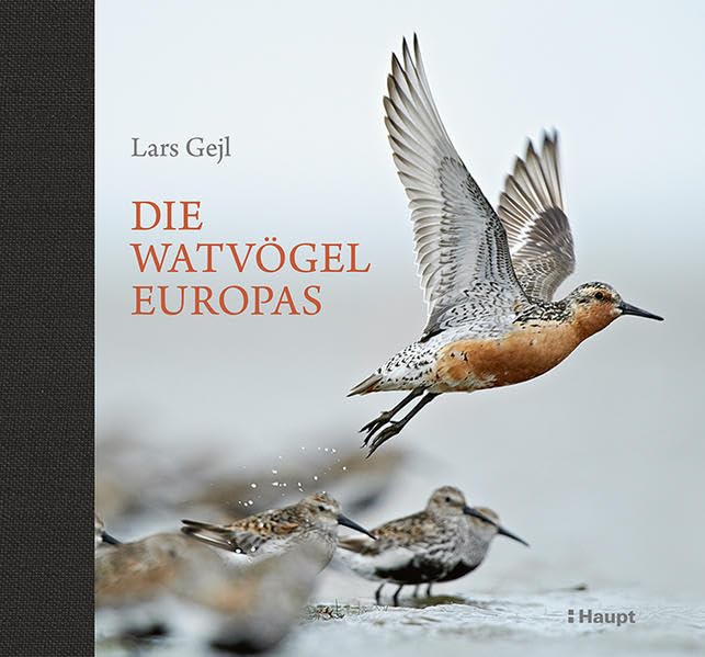 Product Image: Die Watvögel Europas