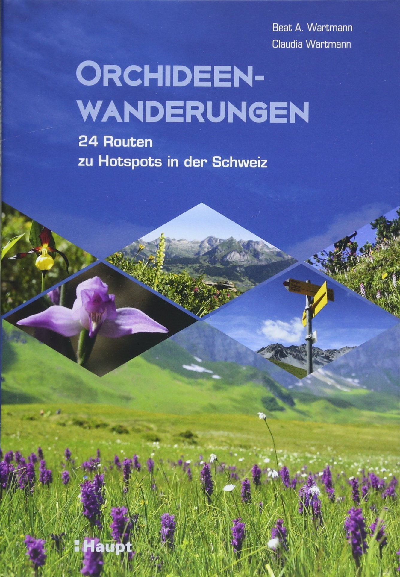 Orchideenwanderungen: 24 Routen zu Hotspots in der Schweiz Leisure, Home & Garden