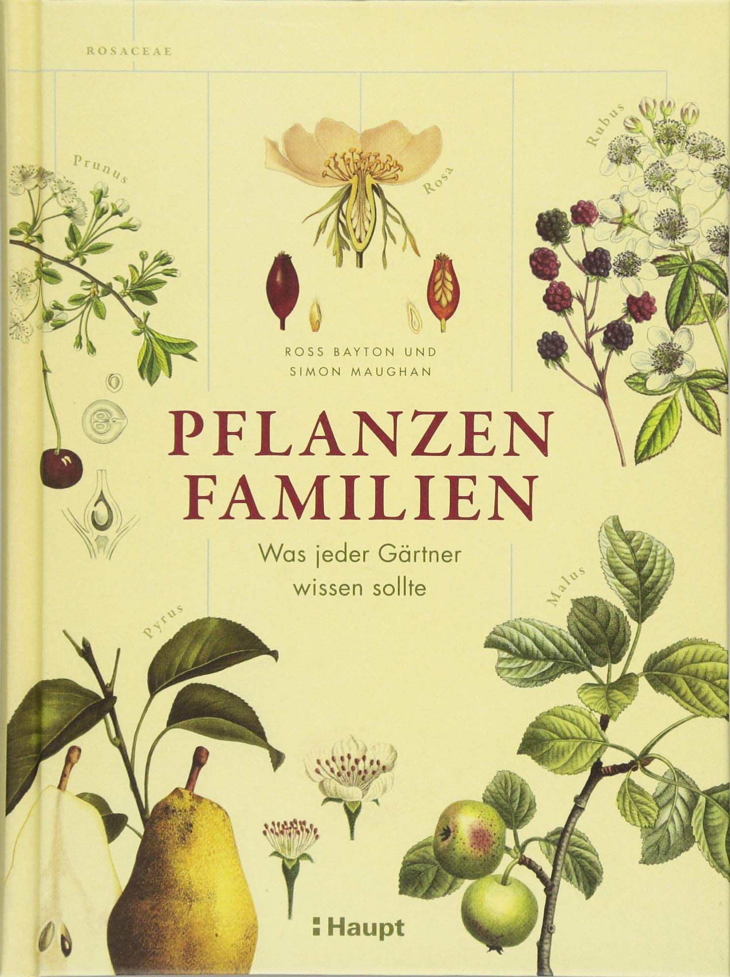 Pflanzenfamilien: Was jeder Gärtner wissen sollte Film, Art & Culture