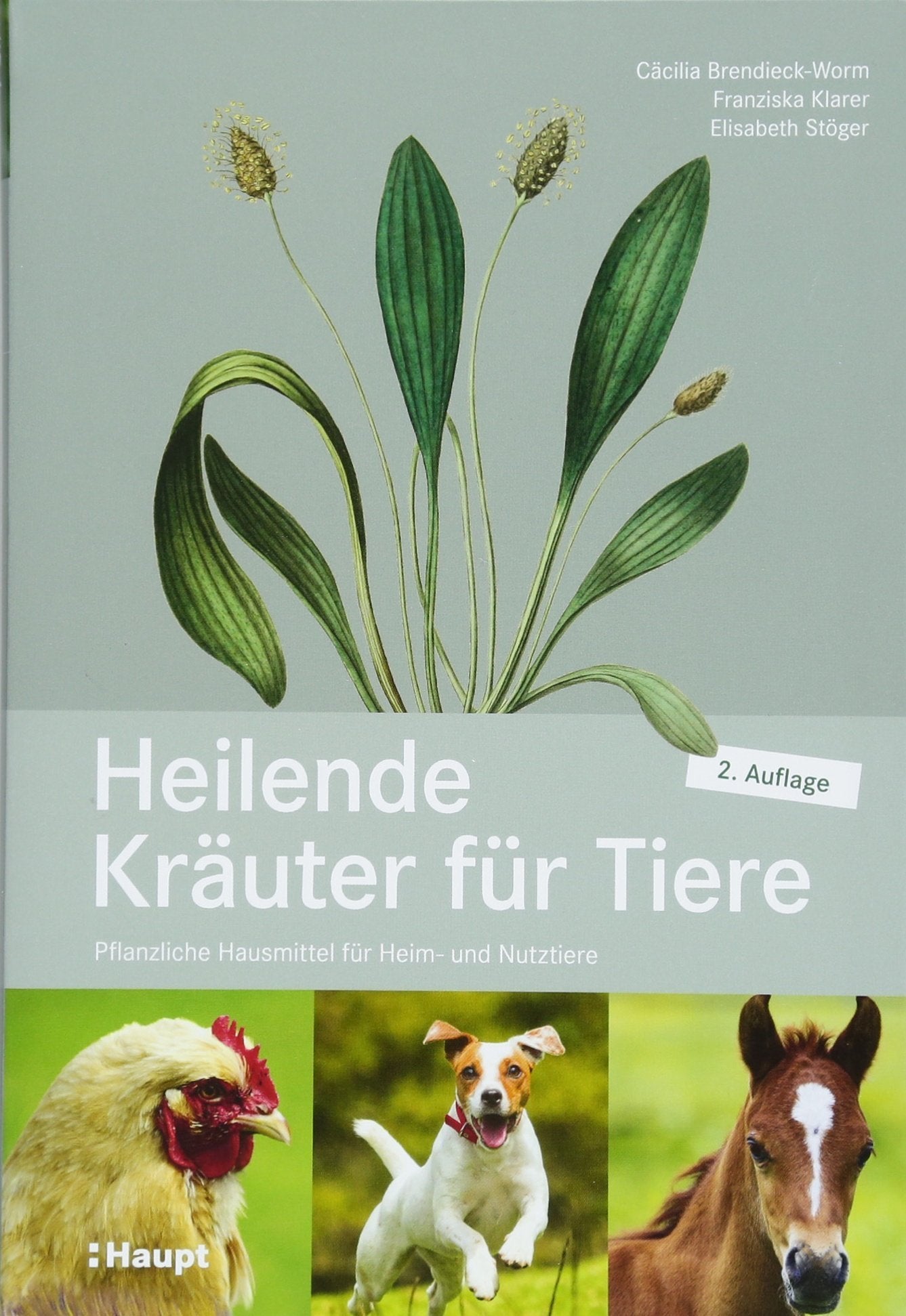 Heilende Kräuter für Tiere Medicine