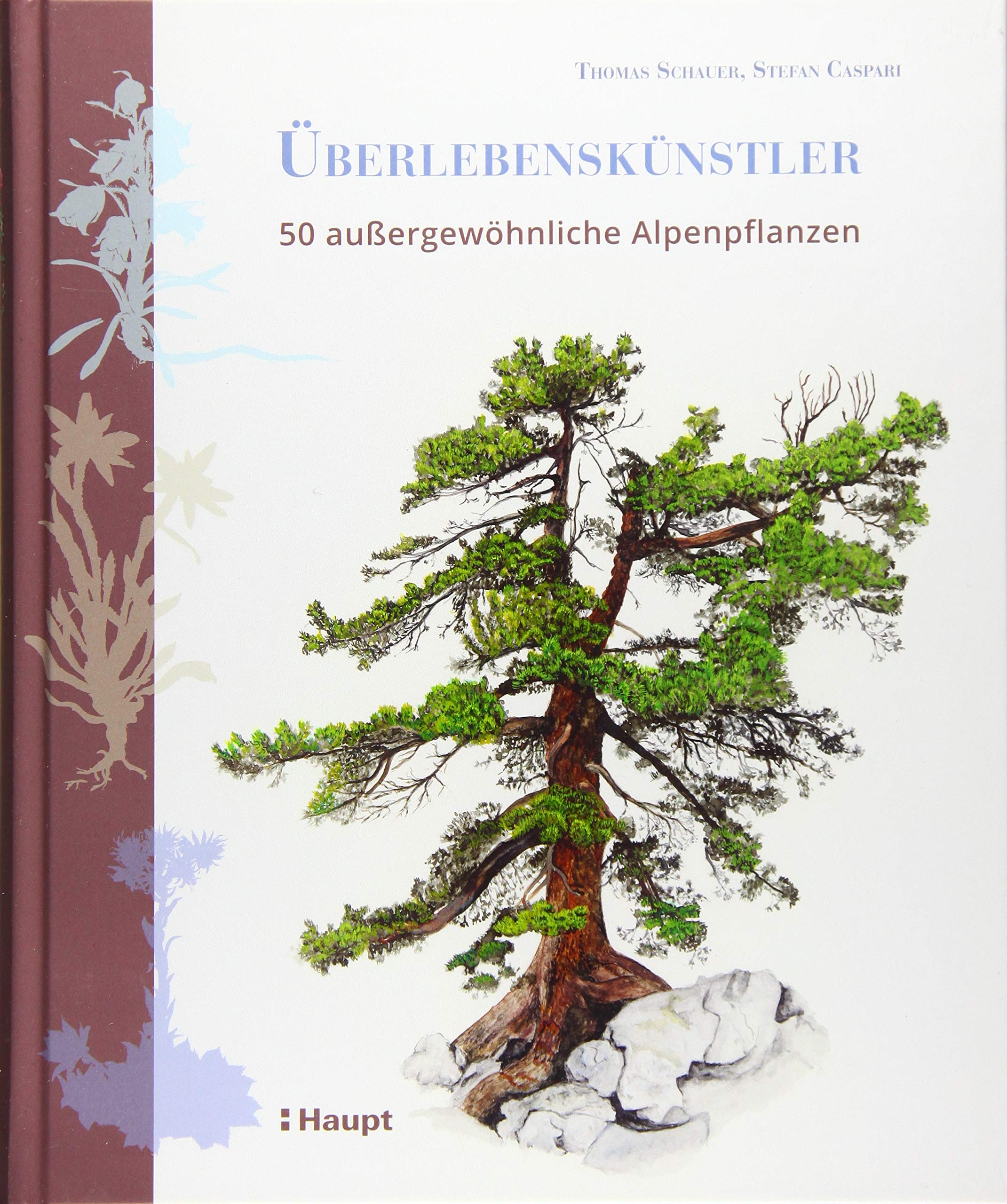 Überlebenskünstler: 50 außergewöhnliche Alpenpflanzen: 50 außerordentliche Alpenpflanzen Leisure, Home & Garden