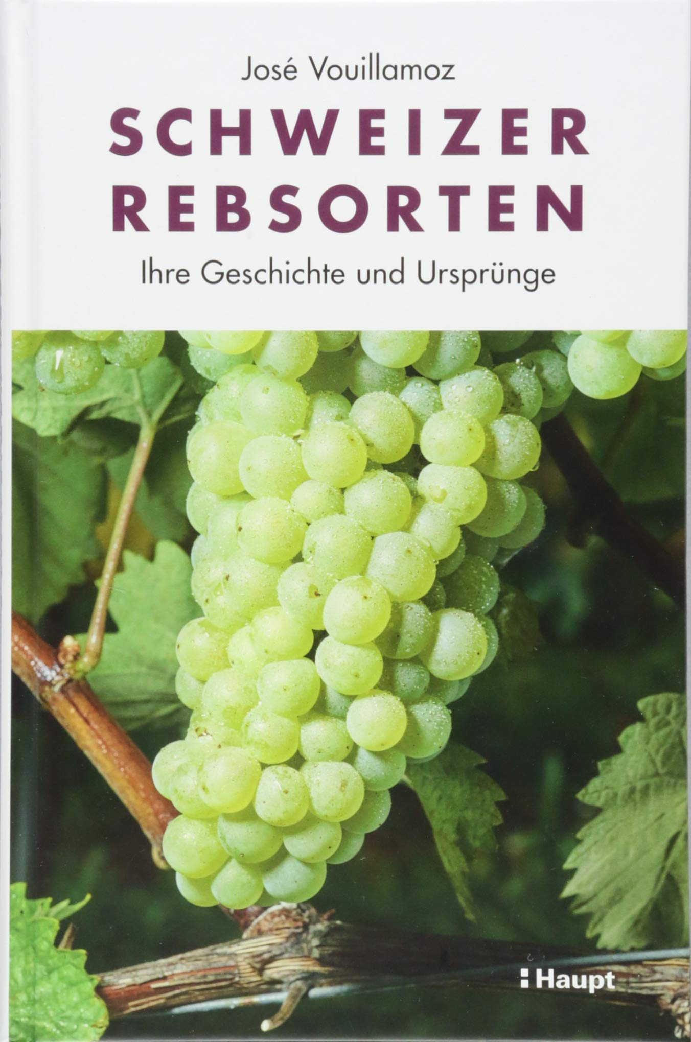 Schweizer Rebsorten: Ihre Geschichte und Ursprünge Business, Finance & Career