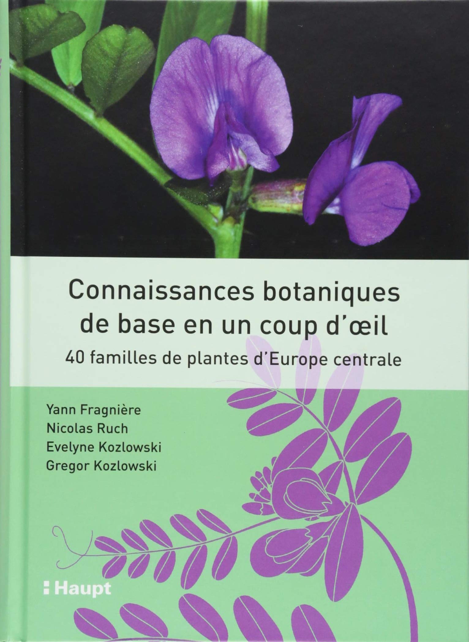 Connaissances botaniques de base en un coup d'oeil: 40 familles de plantes d'Europe centrale book
