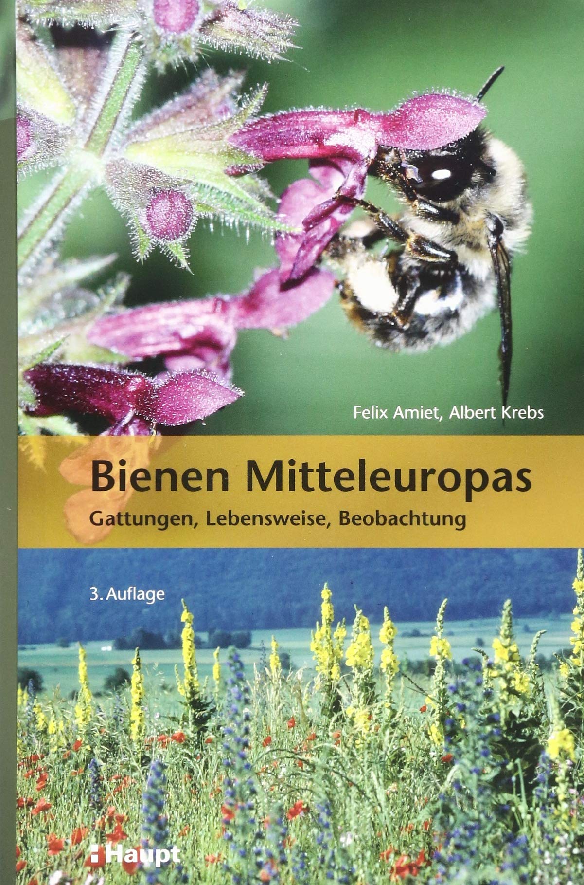 Bienen Mitteleuropas: Gattungen, Lebensweise, Beobachtung book
