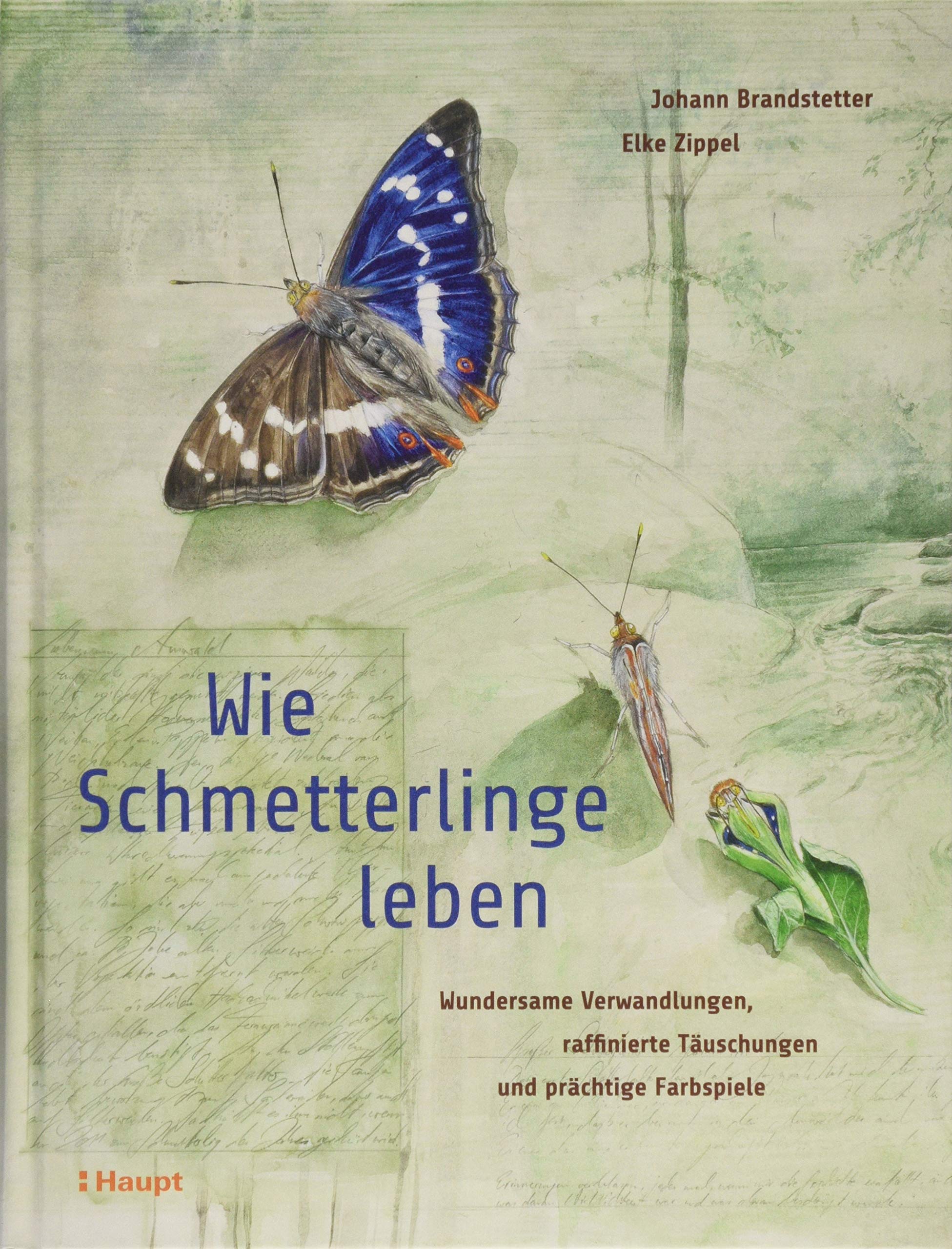 Wie Schmetterlinge leben Leisure, Home & Garden