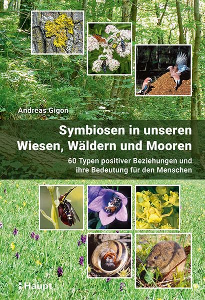 Symbiosen in unseren Wiesen, Wäldern und Mooren: 60 Typen positiver Beziehungen und ihre Bedeutung für den Menschen book