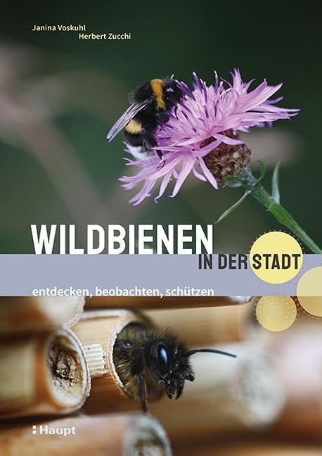 Wildbienen in der Stadt: entdecken, beobachten, schützen Leisure, Home & Garden