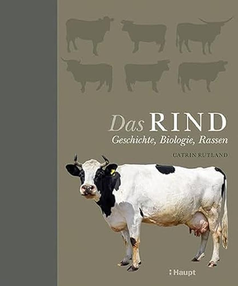 Das Rind Medicine