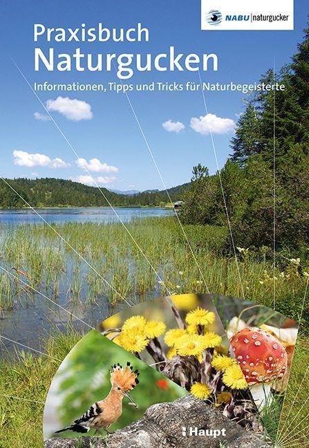 Praxisbuch Naturgucken: Informationen, Tipps und Tricks für Naturbegeisterte Leisure, Home & Garden